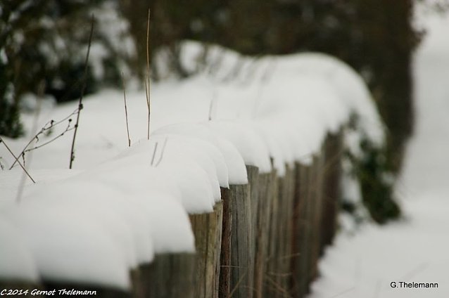 Bild: Wetter-Bild