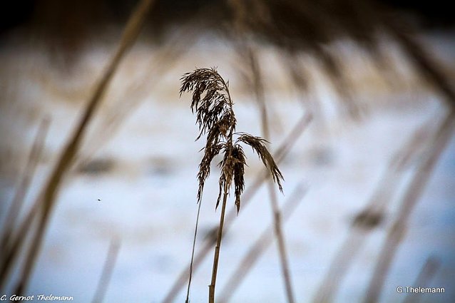 Bild: Wetter-Bild