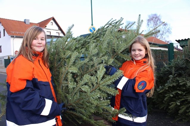 Bild: Weihnachtsb&auml;ume werden eingesammelt