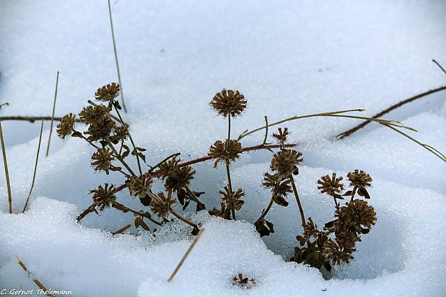 Bild: Wetterbild
