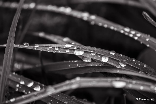 Bild: Wetterbild