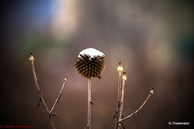 Bild: Wetterbild