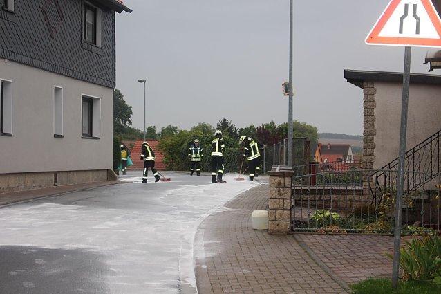Bild: &eacute;lspur in Kalteneber