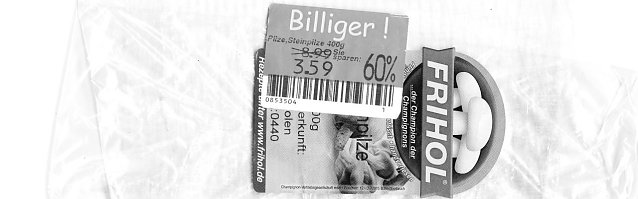 Bild: Pilze