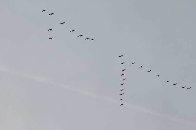 Bild: Wetterbild