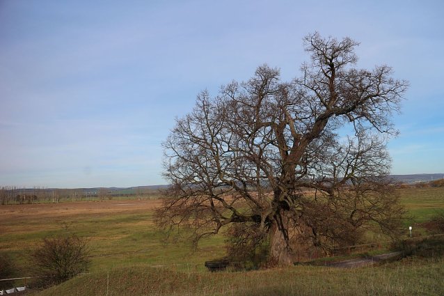 Bild: Wetterbild