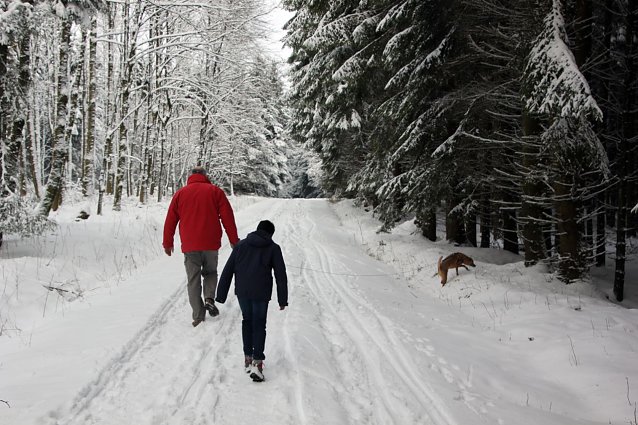 Bild: Spaziergang im Winterwald