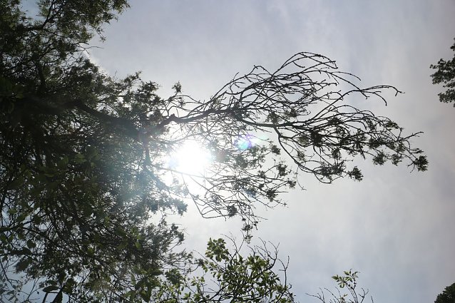 Bild: Wetterbild