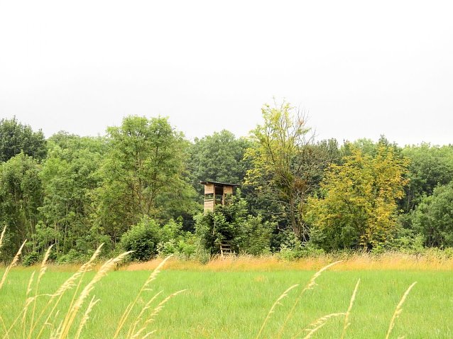 Bild: Peter Blei unterwegs - diesmal in der freien Natur und im Jugendwaldheim Rathsfeld