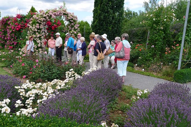 Bild: Fahrt ins Rosarium