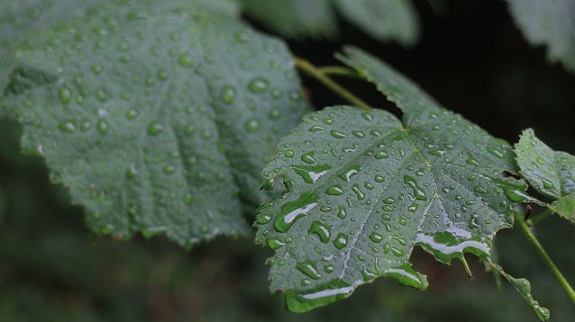 Bild: Wetterbild