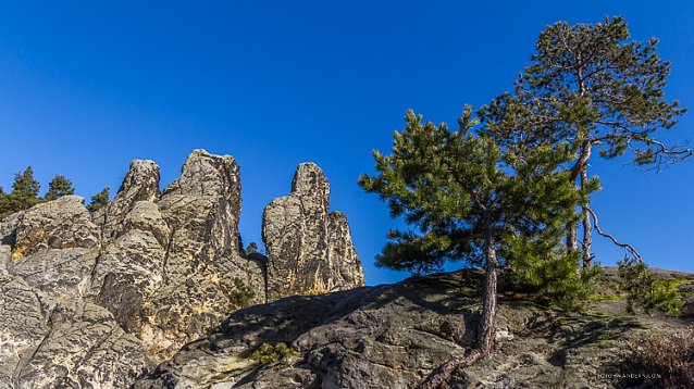 Bild: Den Harz mit dem Fotoapparat erwandern 