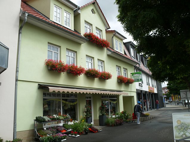 Bild: Blumenhaus