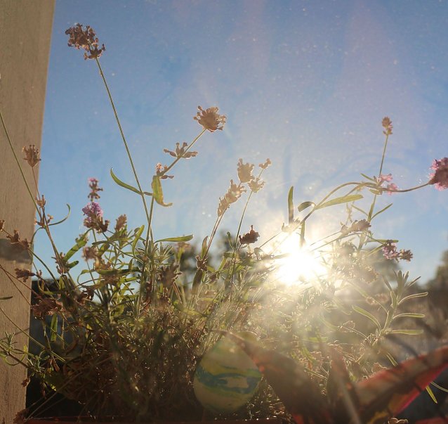 Bild: Wetterbild