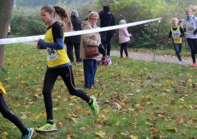 Bild: Stadtparklauf