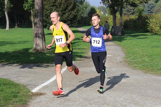 Bild: Die langen Strecken beim Stadtparklauf