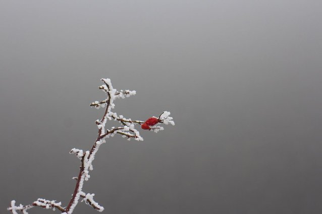 Bild: Wetterbild