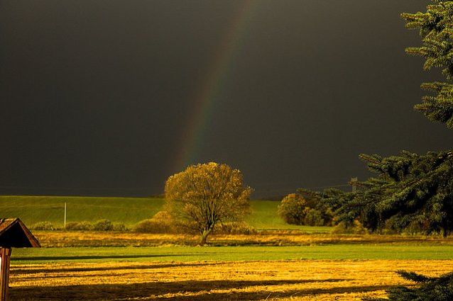 Bild: Wetterbild