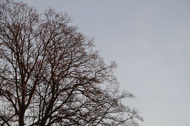 Bild: Wetterbild