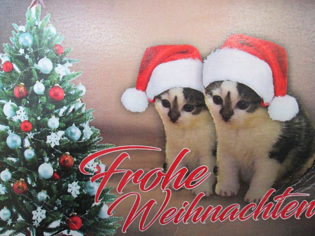 Bild: Frohe Weihnachten