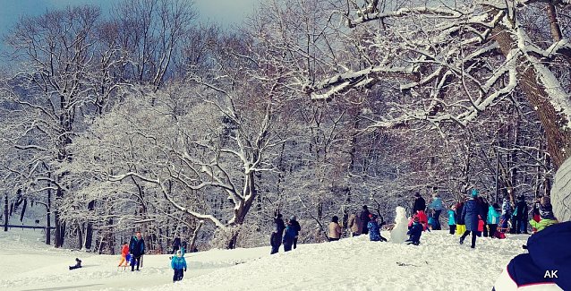 Bild: Winter an der Burg Scharfenstein