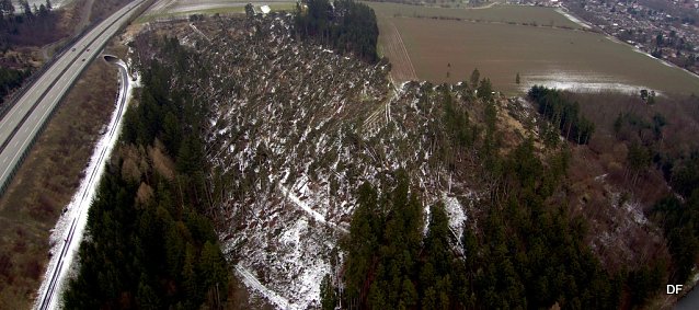 Bild: Sturmsch&auml;den im K&ouml;hlersgrund