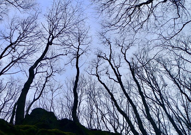 Bild: Wetterbild