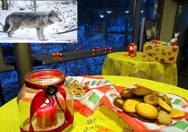 Bild: Nikolaus im B&auml;renpark
