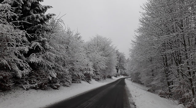 Bild: Heute auf dem Weg von Rothes&uuml;tte nach Sophienhof