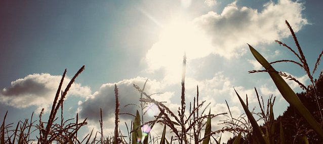 Bild: Wetterbild