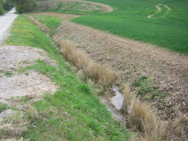 Bild: Feldrandhygiene - Leben oder Sterben?