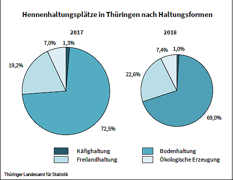 Bild: Hennenhaltungspl&auml;tze in Th&uuml;ringen nach Haltungsformen