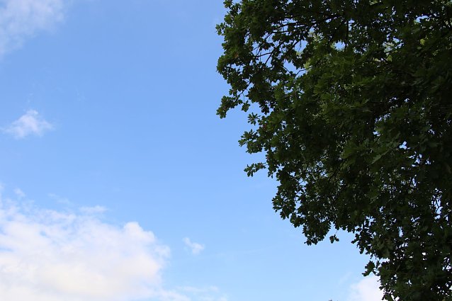 Bild: Wetterbild