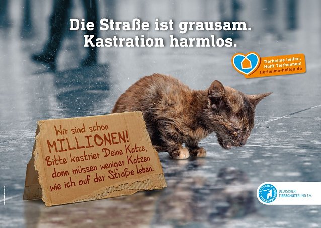 Bild: Mit dem Motiv und dem Slogan Die Stra&szlig;e ist grausam. Kastration harmlos. macht der Deutsche Tierschutzbund auf die Wichtigkeit der Kastration bei Katzen aufmerksam.