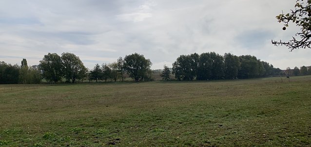 Bild: wetter