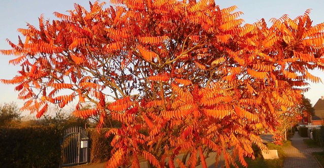 Bild: Herbstwetter