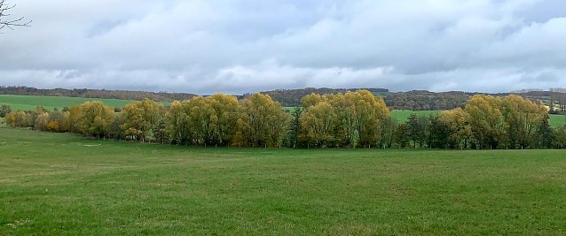 Bild: wetter