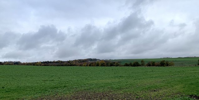 Bild: wetter