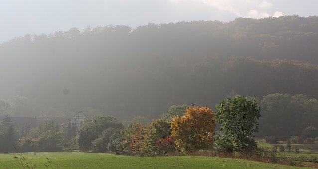 Bild: wetter