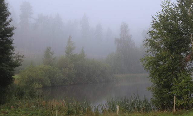 Bild: wetter