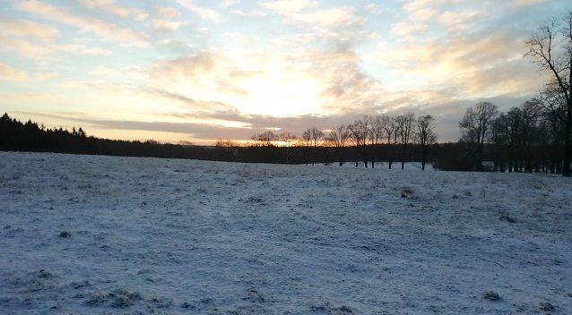 Bild: winterwetter sophienhof