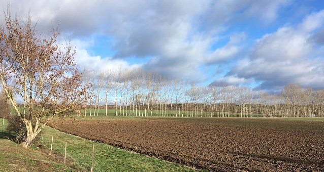 Bild: wetter