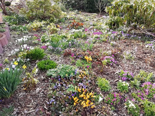 Bild: Die Farben der Natur