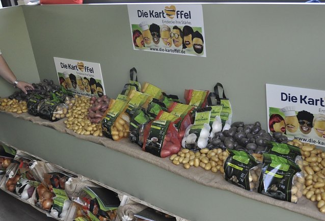 Bild: Die deutschen Kartoffelh&auml;ndler empfehlen, Kartoffeln nicht in gro&szlig;en Mengen zu hamstern, sondern diese frisch und bedarfsgerecht einzukaufen