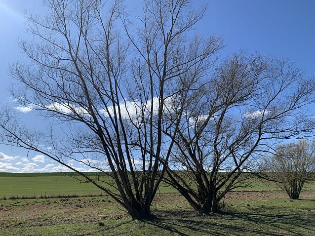 Bild: wetter 