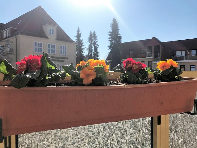 Bild: vom Balkon