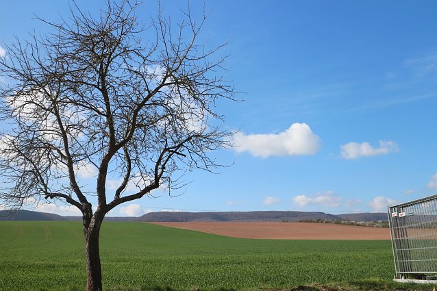 Bild: Wetterbild