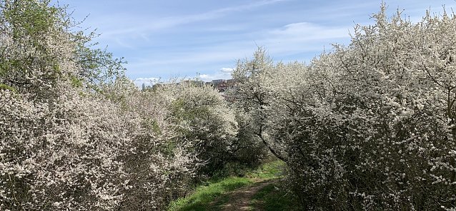 Bild: wetter