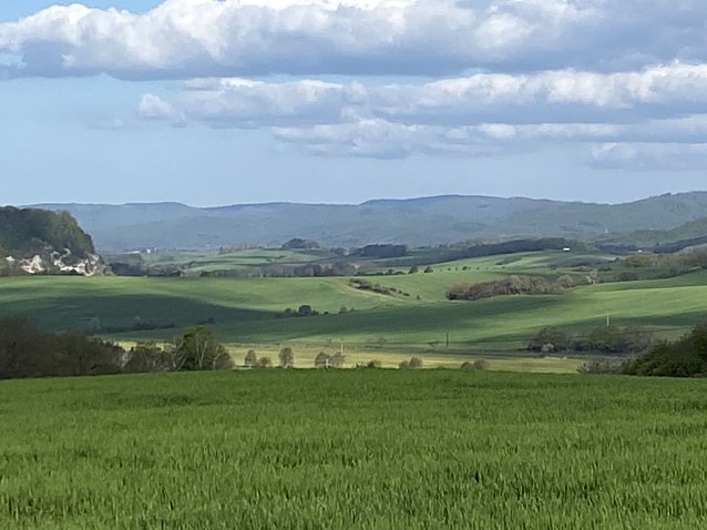 Bild: Wandern am Stausee Kelbra
