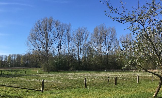 Bild: wetter